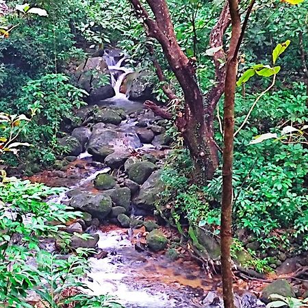 Green And Green Villa Vagamon Exterior foto