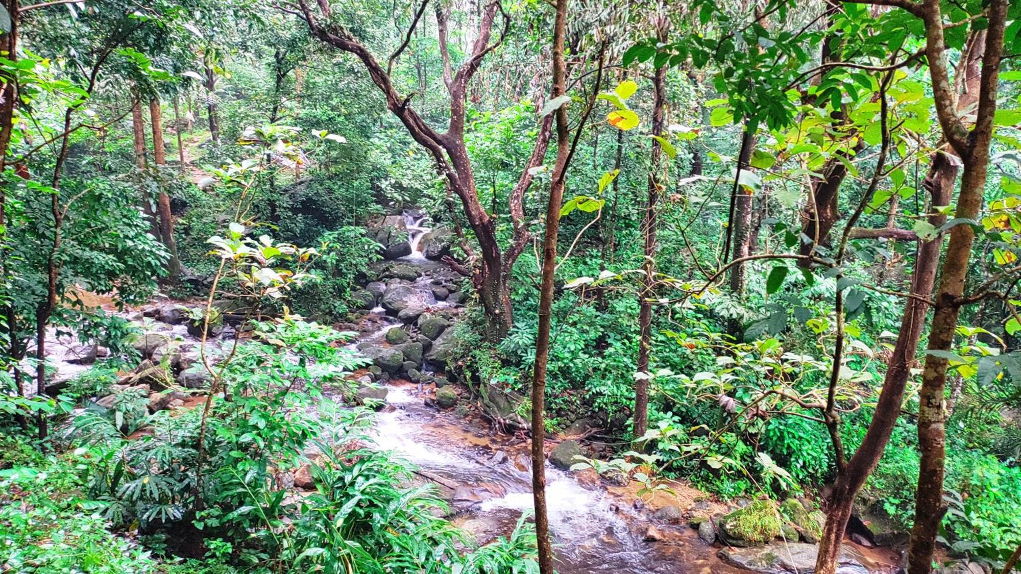 Green And Green Villa Vagamon Exterior foto